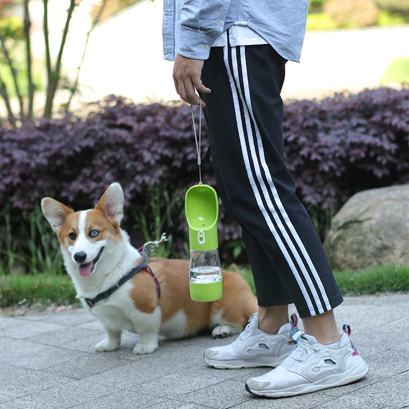 Hydrate & Feed in One – Portable Pet Bottle for Walks, Hikes & Travel