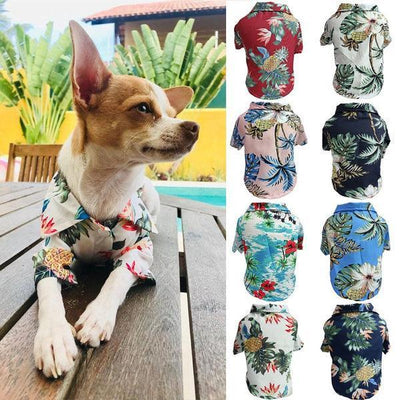 Breathable Corgi Blue Cat Shirt For Dogs - Perfect For Spring And Summer Fun!-0